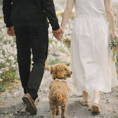 wedding photo