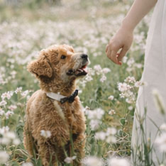 wedding photo